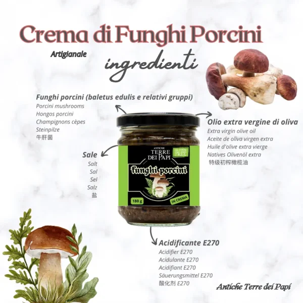 Crema ai funghi porcini con rappresentazione grafica degli ingredienti.