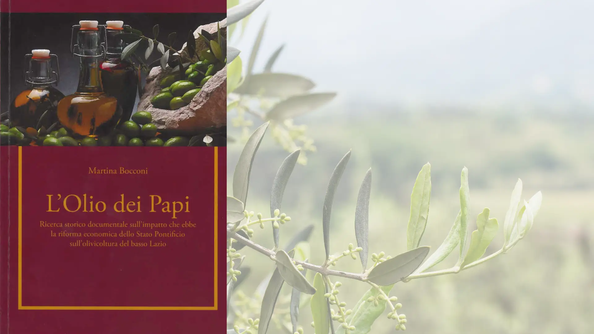 Uliveti laziali con il libro "L’Olio dei Papi" olio extra vergine di oliva
